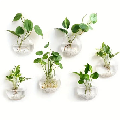 Wall Hanging Glass Terrarium Planter – Self-Watering Hydroponic Crystal Vase for Home & Office Décor (2/4/6 Pack)