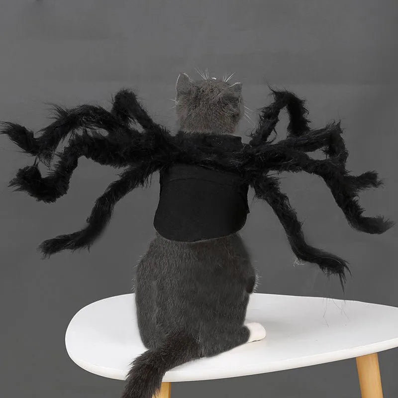 Cat Bat Wing Halloween Costume – Pet Bat Costume Dress with Wings for Cats & Small Dogs, Spooky Party Outfit