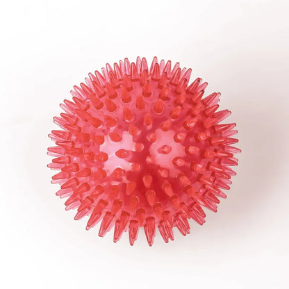 Juguete para perros con pelota chirriante de TPR, mordedor para limpiar los dientes para perros, gatos y cachorros, juguete interactivo de entrenamiento