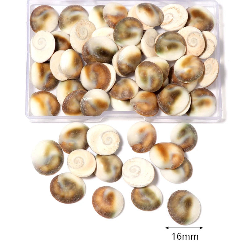 1 Box Tiny Sea Shells – Natural Spiral Seashell & Mini Conch Craft Pieces for Aquarium Decoration, Landscaping, DIY Crafts & Photography Props