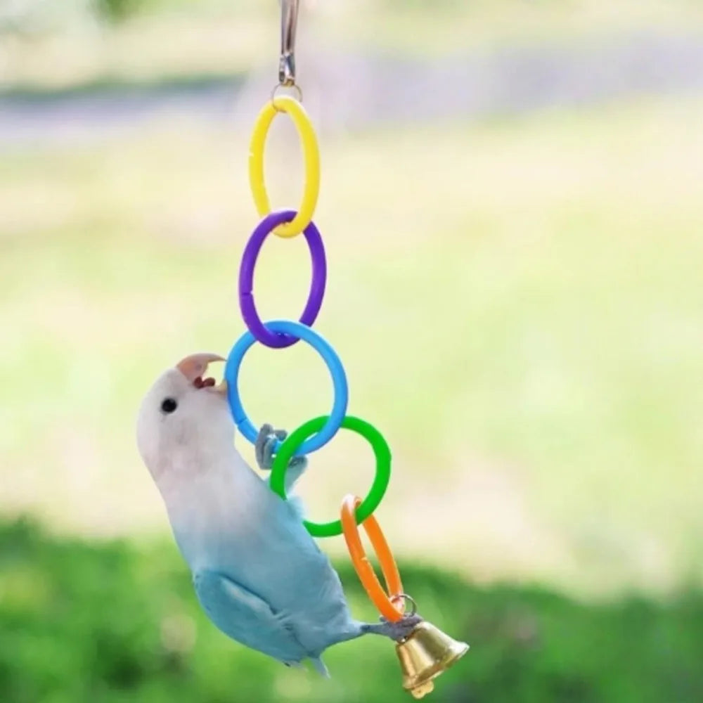 Colorful Plastic Bird Cage Hanging Ring Toy – Interactive Climbing & Swing Toy for Parrots and Small Birds, Boredom Relief Accessory