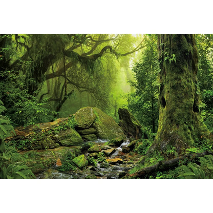 Tropical Jungle Rainforest Backdrop – Spring Forest Photography Background for Camping, Adventure, Birthday Parties & Photo Studio Decor