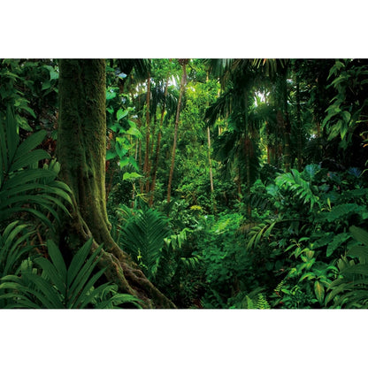 Tropical Jungle Rainforest Backdrop – Spring Forest Photography Background for Camping, Adventure, Birthday Parties & Photo Studio Decor