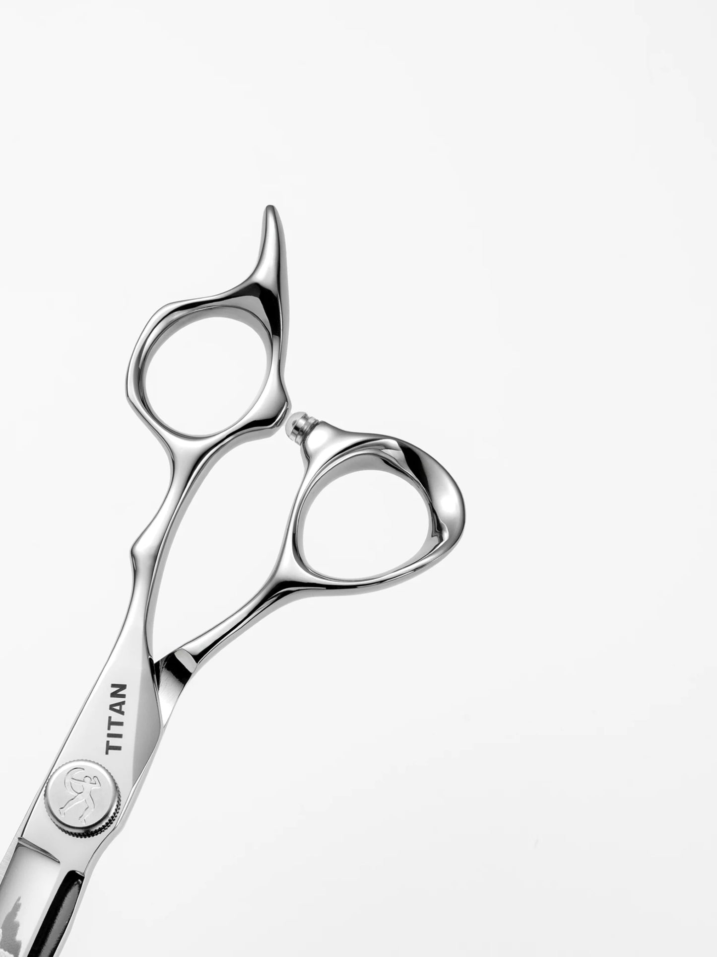 Titan 6 Inch Professional Hair Scissors – Barber Hair Cutting Shears for Salon & Hairdressing Tools | Stainless Steel Styling Scissor