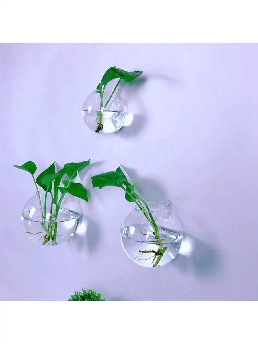 Wall Hanging Glass Terrarium Planter – Self-Watering Hydroponic Crystal Vase for Home & Office Décor (2/4/6 Pack)