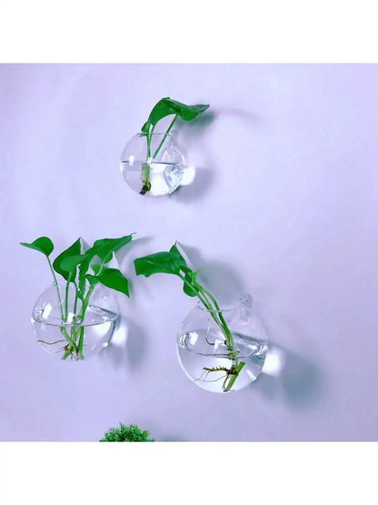 Wall Hanging Glass Terrarium Planter – Self-Watering Hydroponic Crystal Vase for Home & Office Décor (2/4/6 Pack)
