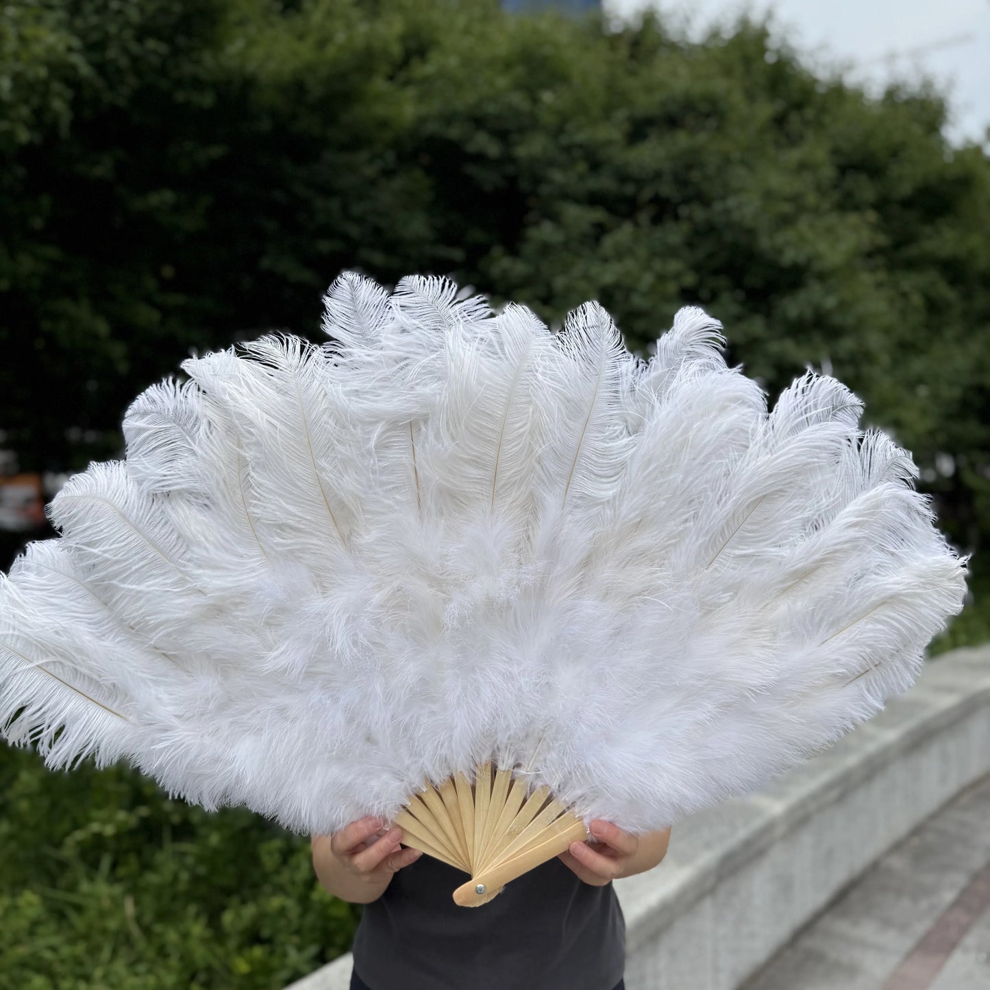 Abanico Grande de Plumas de Avestruz Blancas – Elegante Abanico para Baile y Actuaciones Escénicas (100 cm / 130 cm)