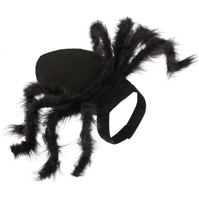 Cat Bat Wing Halloween Costume – Pet Bat Costume Dress with Wings for Cats & Small Dogs, Spooky Party Outfit