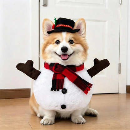 Funny Halloween Pet Transformation Costume – Cute Costume Outfit for Small Dogs & Cats, Creative Pet Clothing for Halloween Parties & Dress-Up