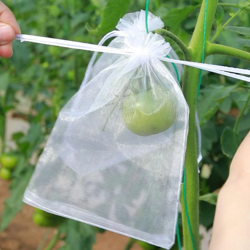 50 sacs de protection pour fruits de vigne – Filets de protection anti-oiseaux pour raisins, plantes de jardin, contrôle des nuisibles, protection des arbres fruitiers et fournitures de jardinage agricole