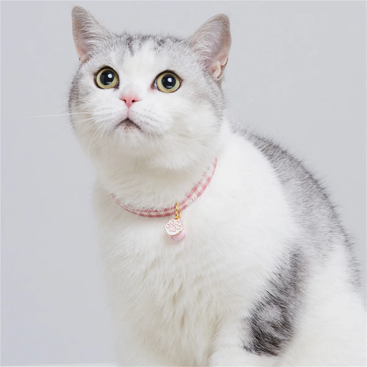 Cute Avocado Cat Collar – Adjustable Plaid Pet Collar with Bell & Candy Avocado Pendant, Cartoon Necklace for Cats & Small Dogs