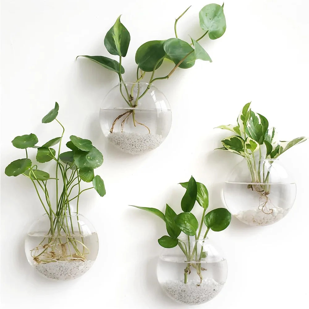 Wall Hanging Glass Terrarium Planter – Self-Watering Hydroponic Crystal Vase for Home & Office Décor (2/4/6 Pack)