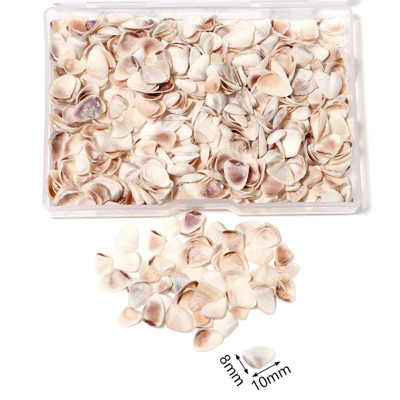 1 Box Tiny Sea Shells – Natural Spiral Seashell & Mini Conch Craft Pieces for Aquarium Decoration, Landscaping, DIY Crafts & Photography Props