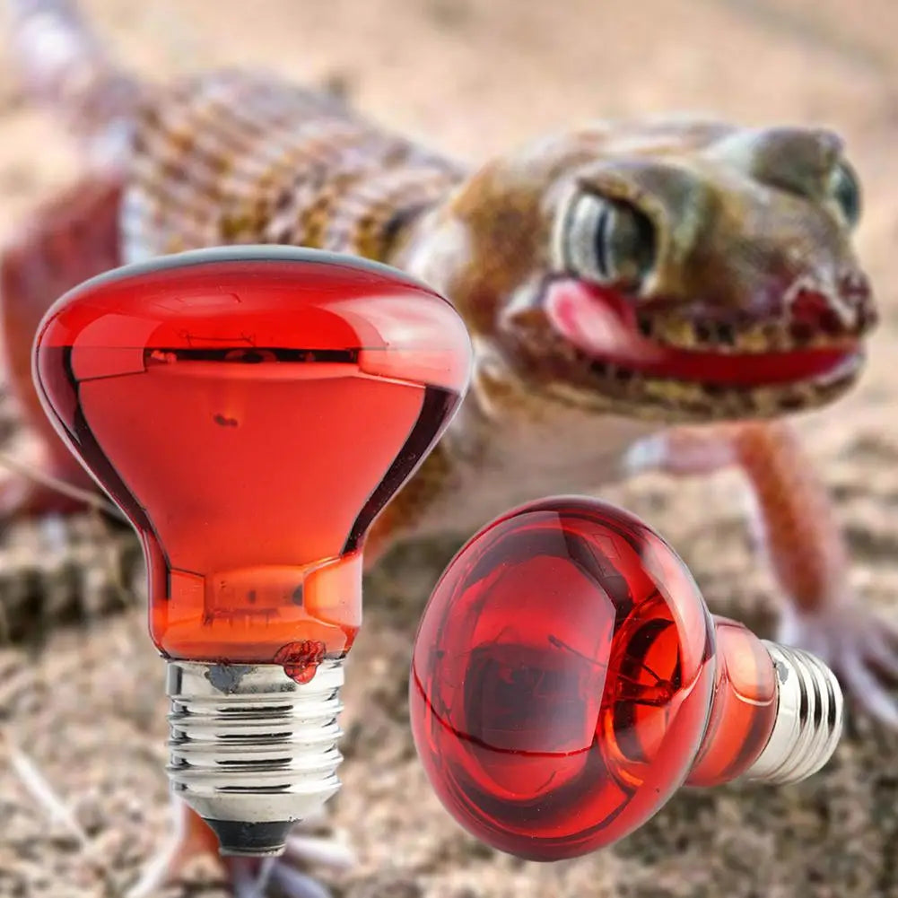 E27 Infrared Poultry Heat Bulb 25W-100W – Adjustable Heat Lamp for Reptiles, Amphibians, Plants, Pets & Livestock