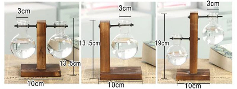 Glass Hydroponic Plant Terrarium Vase – Desktop Planter for Home, Office & Indoor Greenery Décor