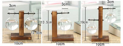 Glass Hydroponic Plant Terrarium Vase – Desktop Planter for Home, Office & Indoor Greenery Décor
