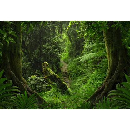Tropical Jungle Rainforest Backdrop – Spring Forest Photography Background for Camping, Adventure, Birthday Parties & Photo Studio Decor