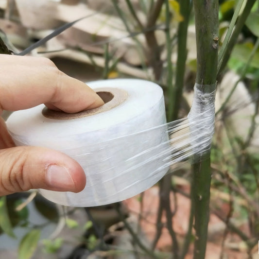 Película de cinta de injerto de PE de 200M – Cinta de injerto autoadhesiva para árboles frutales, plántulas de vivero, vides, tomates, floristería y suministros de jardinería