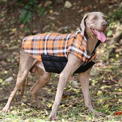 NONOR Winter Dog Jacket – Waterproof & Warm Pet Coat for Medium & Large Dogs, Cozy Outdoor Clothing for French Bulldogs, Labradors & More