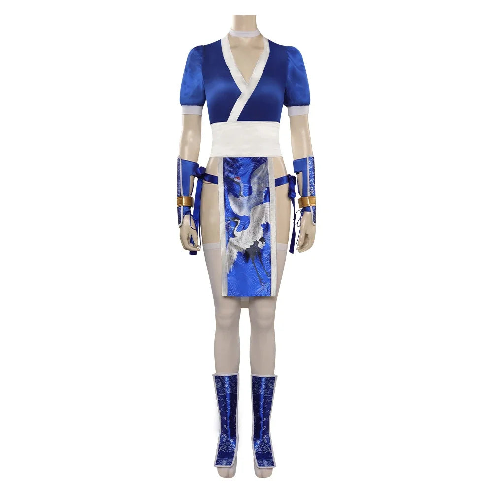 Dead or Alive Anime Cosplay Costume for Women – Fighting Game Roleplay Outfit for Halloween, Carnival & Party Wear