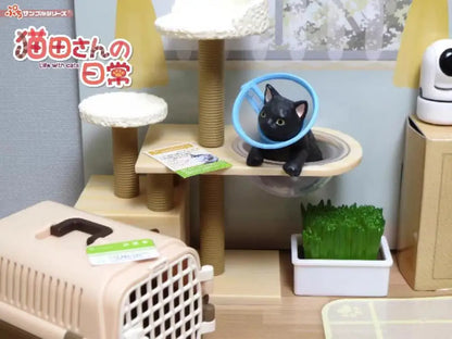 Rement My Daily Life with Cats – Scène miniature Boîte mystère – Figurines de collection simulation mignonne, Décoration de bureau et Cadeau d'anniversaire