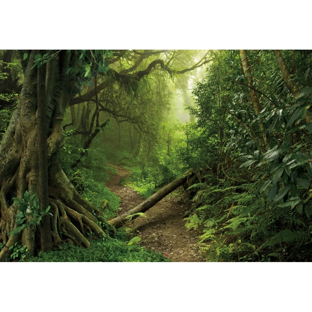 Tropical Jungle Rainforest Backdrop – Spring Forest Photography Background for Camping, Adventure, Birthday Parties & Photo Studio Decor