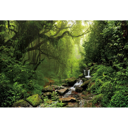 Tropical Jungle Rainforest Backdrop – Spring Forest Photography Background for Camping, Adventure, Birthday Parties & Photo Studio Decor