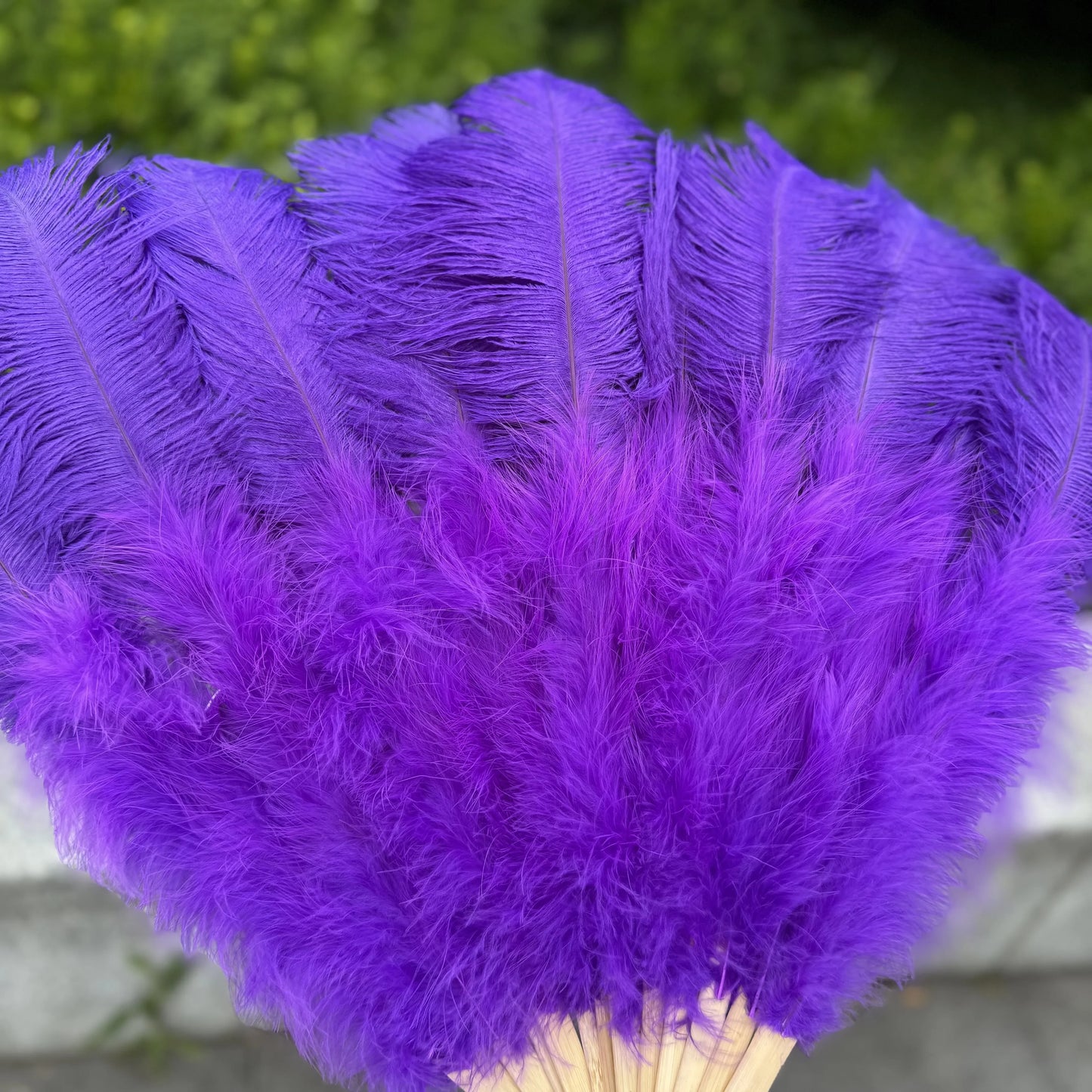 Abanico Grande de Plumas de Avestruz Blancas – Elegante Abanico para Baile y Actuaciones Escénicas (100 cm / 130 cm)