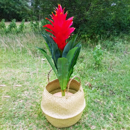 Panier en osier tressé en algues marines, pot de fleurs suspendu en rotin – Panier de rangement tressé naturel pour la lessive, les plantes, l'organisation de la maison et la décoration suspendue WF1015