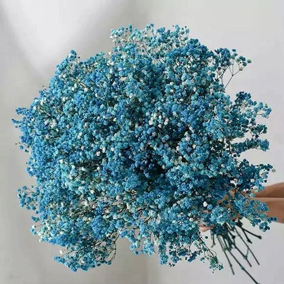 Flores de Paniculata Secas Naturales de 40-50cm – Ramo de Gypsophila Paniculata para Decoración de Bodas, Regalos y Decoración Floral del Hogar