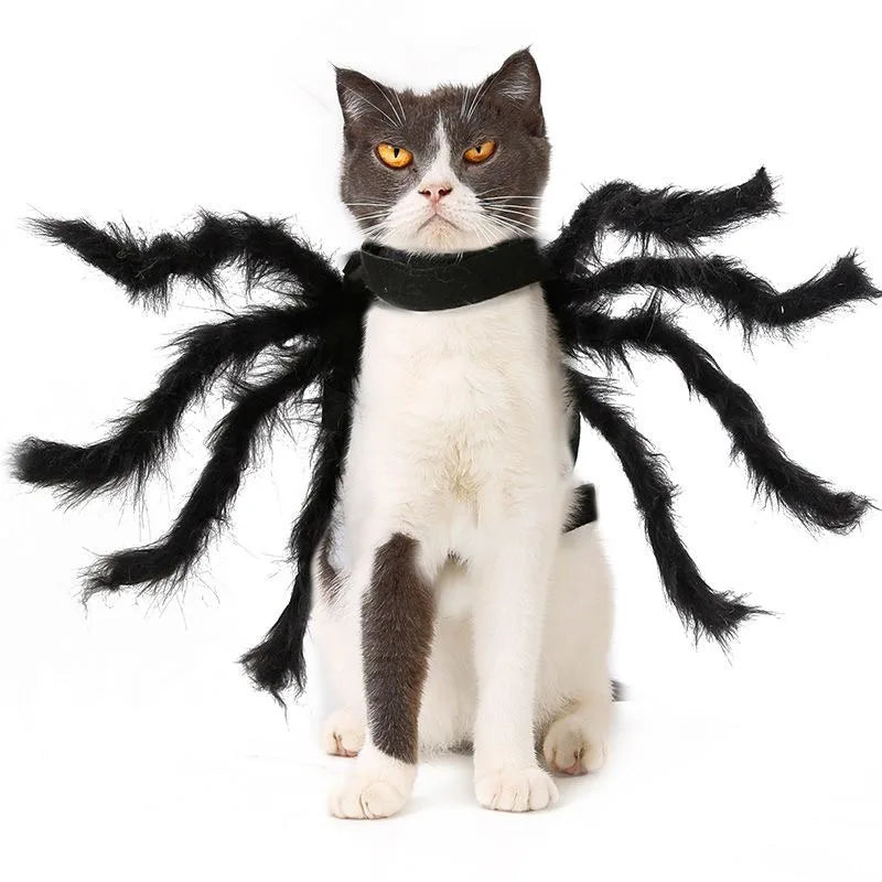 Cat Bat Wing Halloween Costume – Pet Bat Costume Dress with Wings for Cats & Small Dogs, Spooky Party Outfit