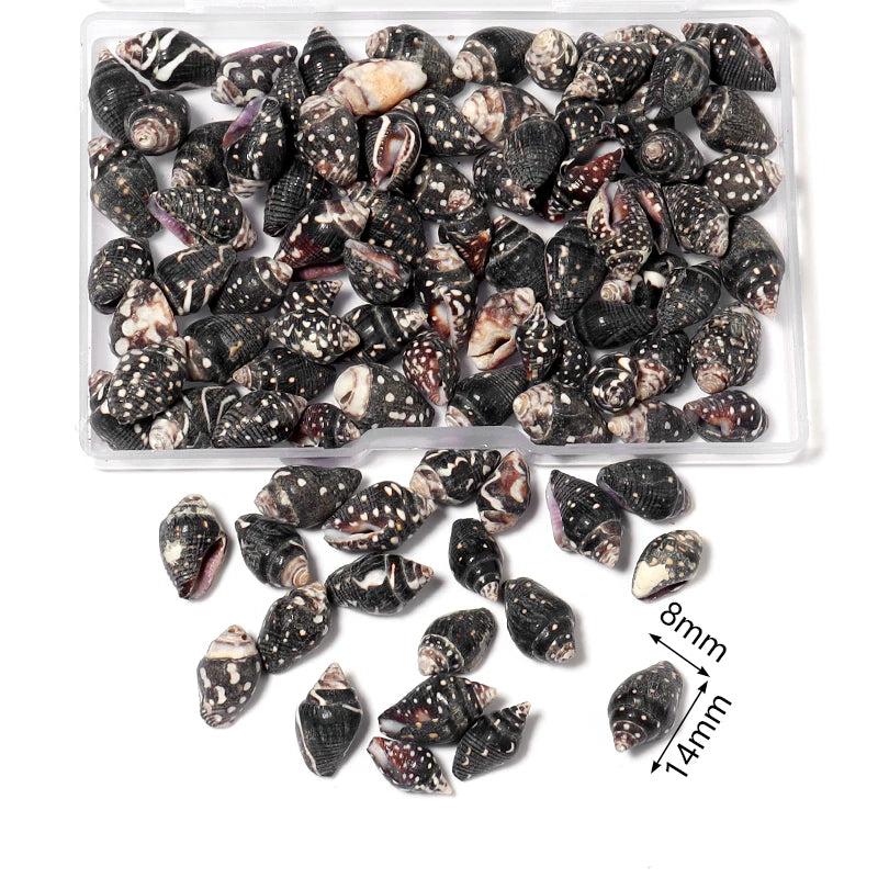 1 Box Tiny Sea Shells – Natural Spiral Seashell & Mini Conch Craft Pieces for Aquarium Decoration, Landscaping, DIY Crafts & Photography Props