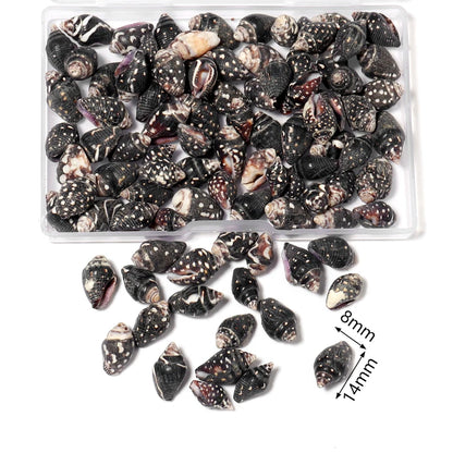 1 Box Tiny Sea Shells – Natural Spiral Seashell & Mini Conch Craft Pieces for Aquarium Decoration, Landscaping, DIY Crafts & Photography Props