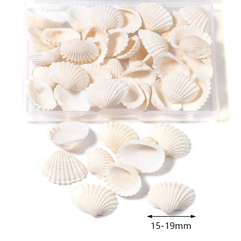 1 Box Tiny Sea Shells – Natural Spiral Seashell & Mini Conch Craft Pieces for Aquarium Decoration, Landscaping, DIY Crafts & Photography Props