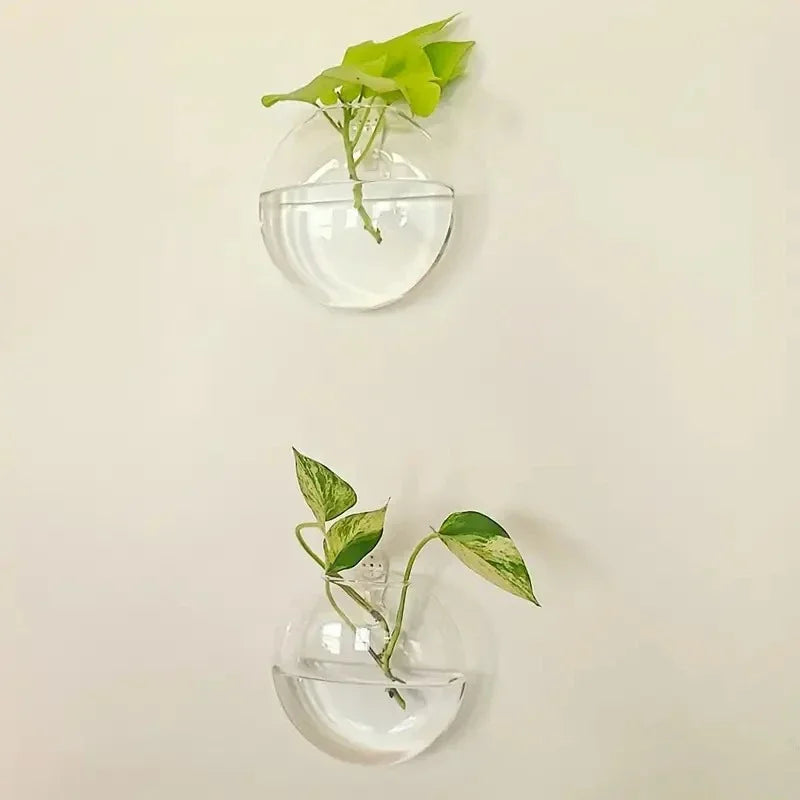 Wall Hanging Glass Terrarium Planter – Self-Watering Hydroponic Crystal Vase for Home & Office Décor (2/4/6 Pack)