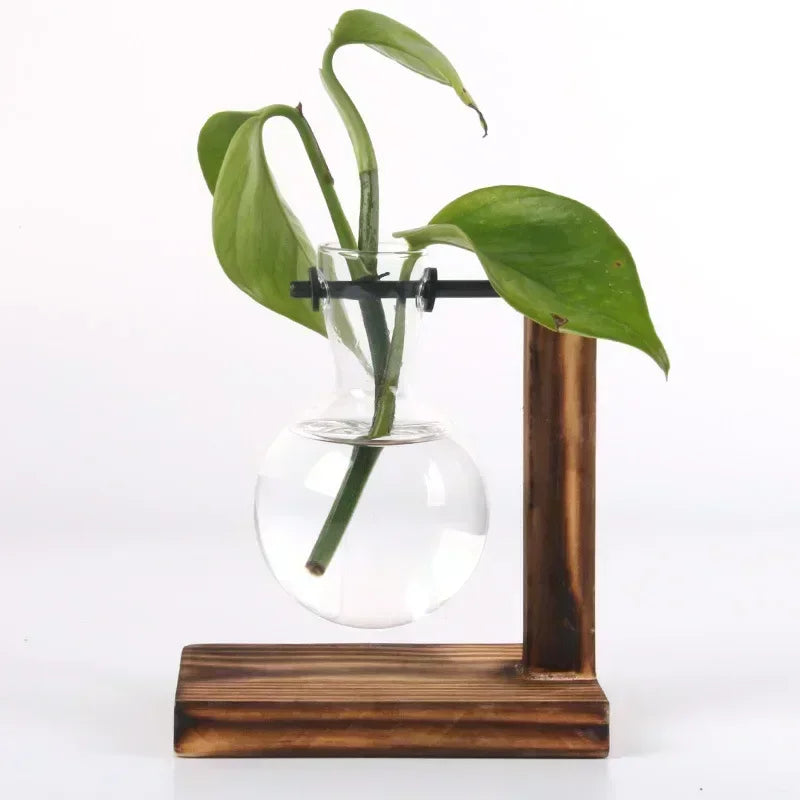 Glass Hydroponic Plant Terrarium Vase – Desktop Planter for Home, Office & Indoor Greenery Décor