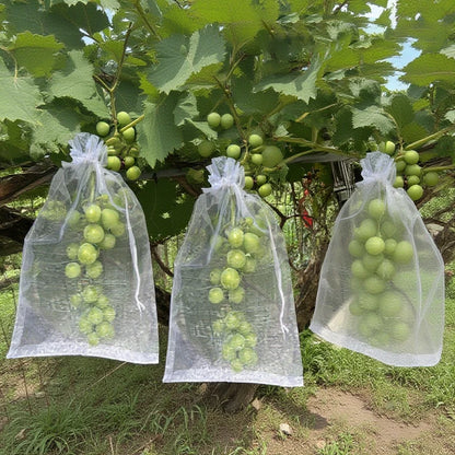 50 sacs de protection pour fruits de vigne – Filets de protection anti-oiseaux pour raisins, plantes de jardin, contrôle des nuisibles, protection des arbres fruitiers et fournitures de jardinage agricole