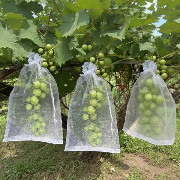 50PCS Grape Fruit Protection Bags – Anti-Bird Mesh Netting Covers for Grapes, Garden Plants, Pest Control, Fruit Tree Protection & Agricultural Gardening Supplies