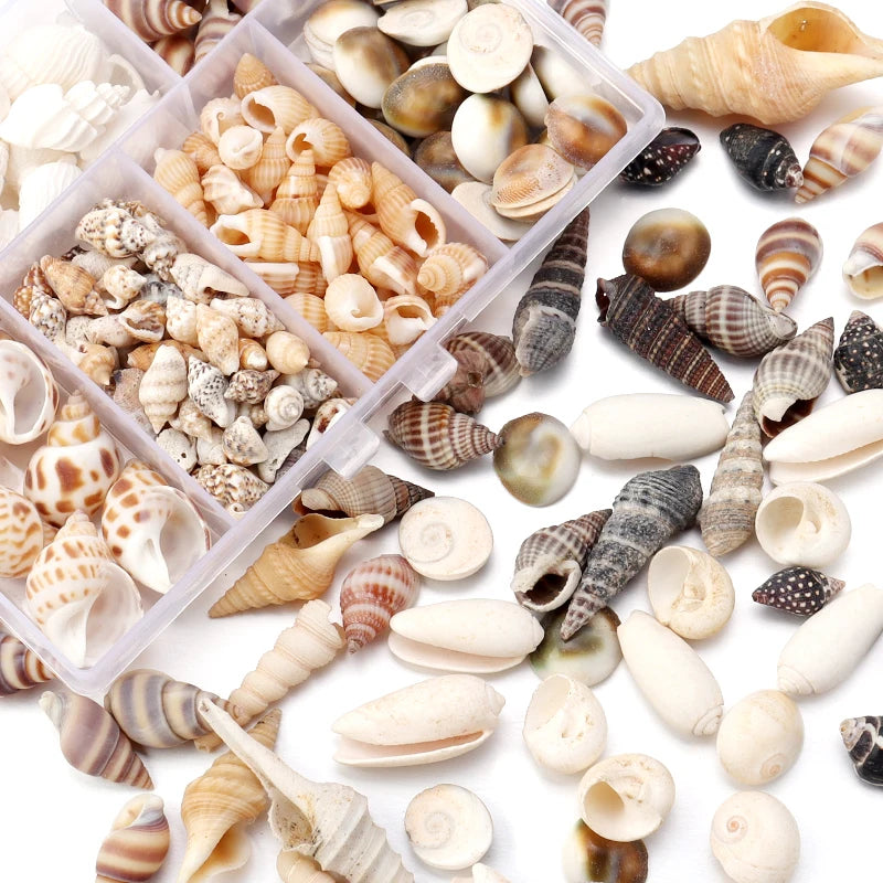 1 Box Tiny Sea Shells – Natural Spiral Seashell & Mini Conch Craft Pieces for Aquarium Decoration, Landscaping, DIY Crafts & Photography Props