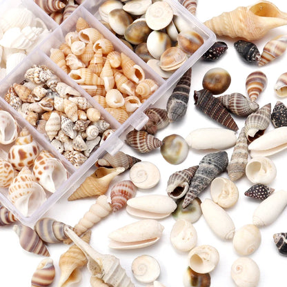 1 Box Tiny Sea Shells – Natural Spiral Seashell & Mini Conch Craft Pieces for Aquarium Decoration, Landscaping, DIY Crafts & Photography Props