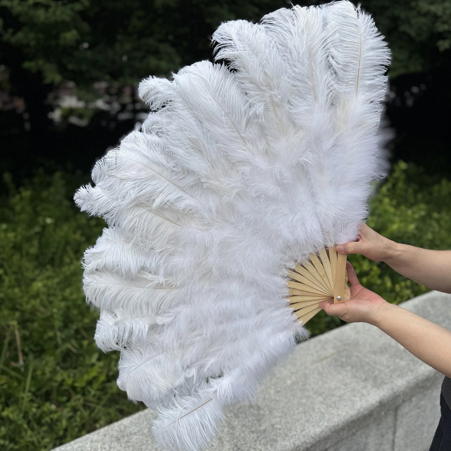 Abanico Grande de Plumas de Avestruz Blancas – Elegante Abanico para Baile y Actuaciones Escénicas (100 cm / 130 cm)
