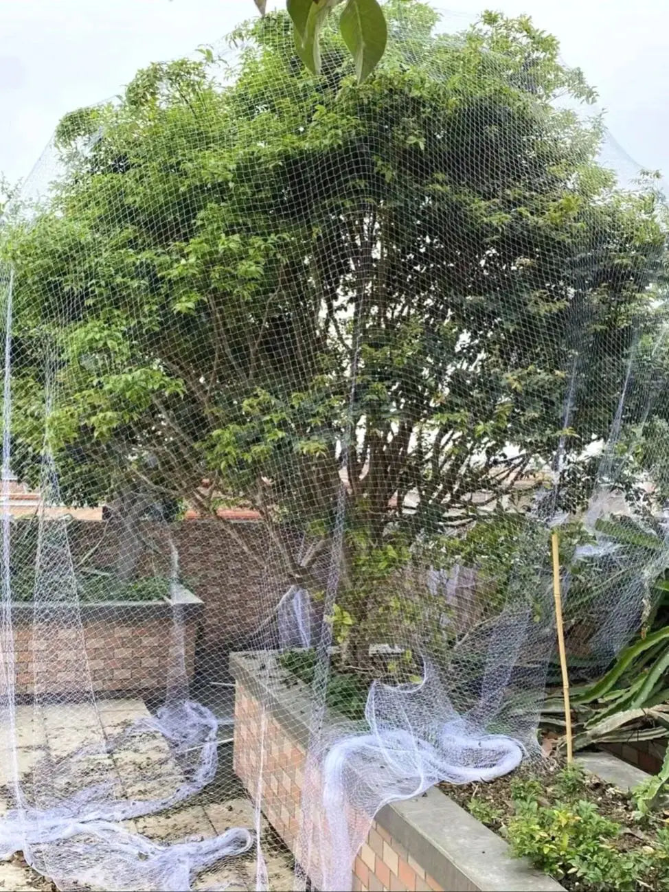 Filet de protection robuste en nylon pour oiseaux – Maille de protection pour le jardin pour les poulaillers, les enclos à volailles, les barrières anti-écureuils, les arbres fruitiers et la protection des plantes extérieures.