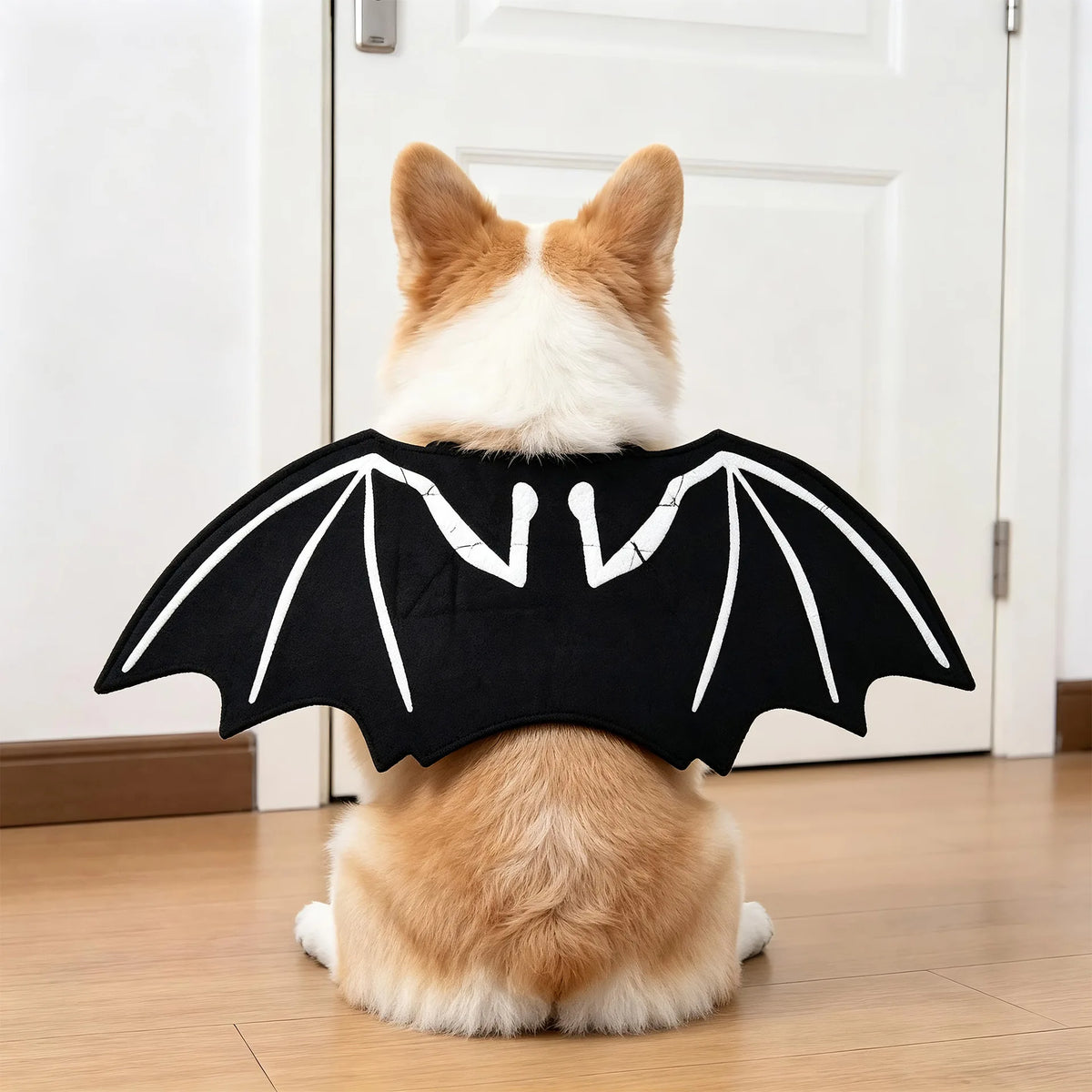 Funny Halloween Pet Transformation Costume – Cute Costume Outfit for Small Dogs & Cats, Creative Pet Clothing for Halloween Parties & Dress-Up