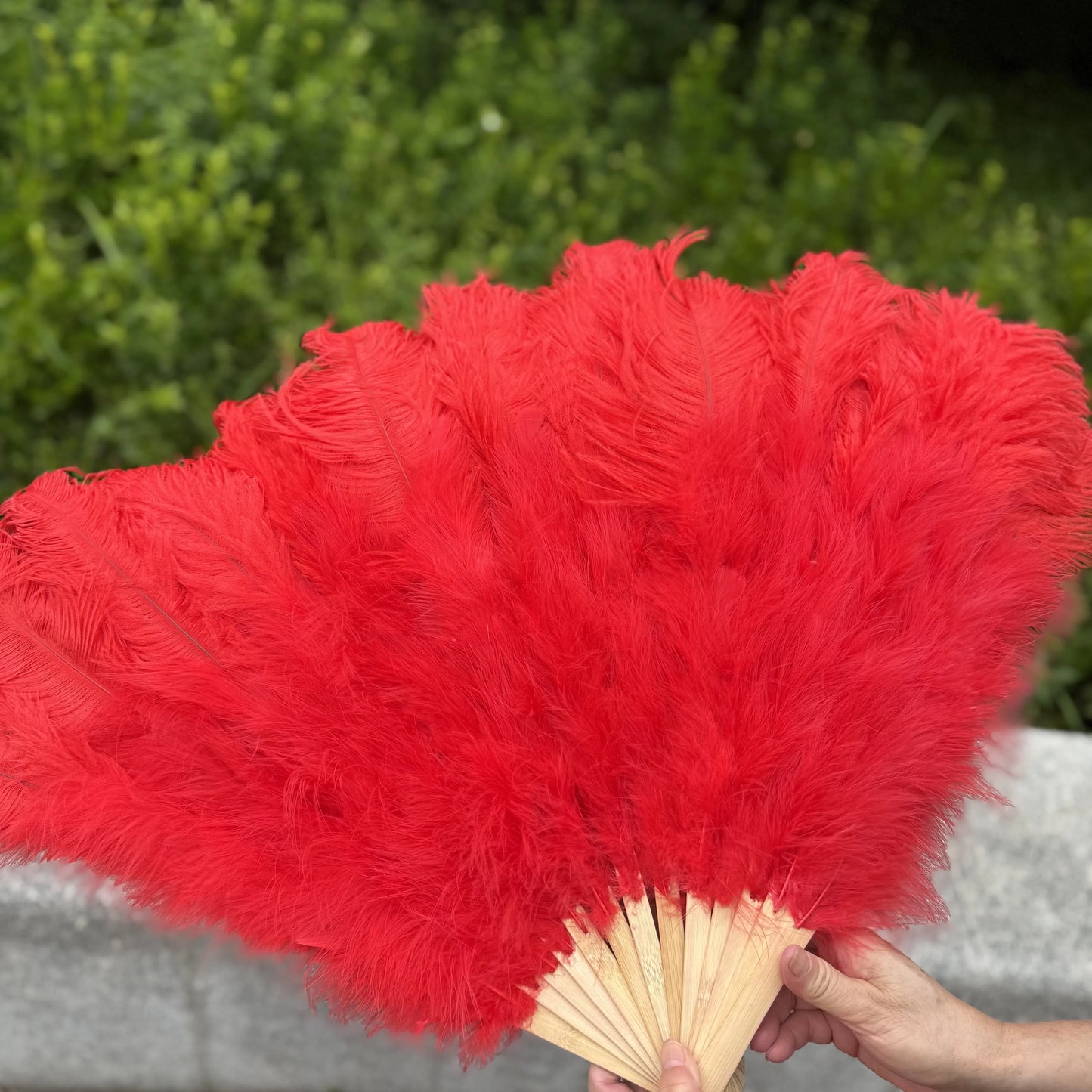 Abanico Grande de Plumas de Avestruz Blancas – Elegante Abanico para Baile y Actuaciones Escénicas (100 cm / 130 cm)