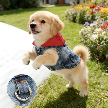 Cool Dog Denim Jacket Vest – Hooded Jean Coat with D-Ring for Small & Medium Dogs, Puppy Harness Vest for Spring Walks