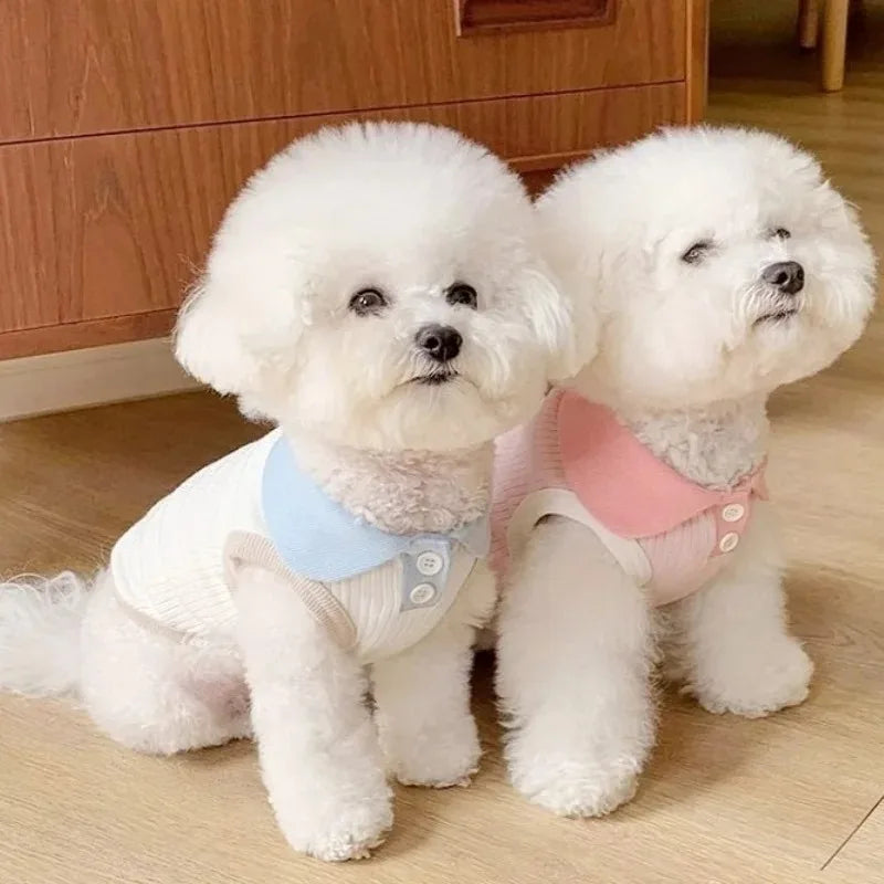 Camiseta de verano para perros, ligera, para cachorros, ropa transpirable para mascotas, camiseta para perros pequeños, ropa de primavera para perros
