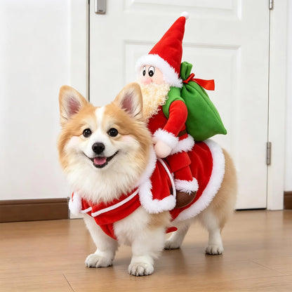 Funny Halloween Pet Transformation Costume – Cute Costume Outfit for Small Dogs & Cats, Creative Pet Clothing for Halloween Parties & Dress-Up