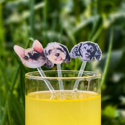 Bâtonnets à cocktail personnalisés en acrylique – Agitateurs de boisson sur mesure pour mariages, baptêmes et fêtes