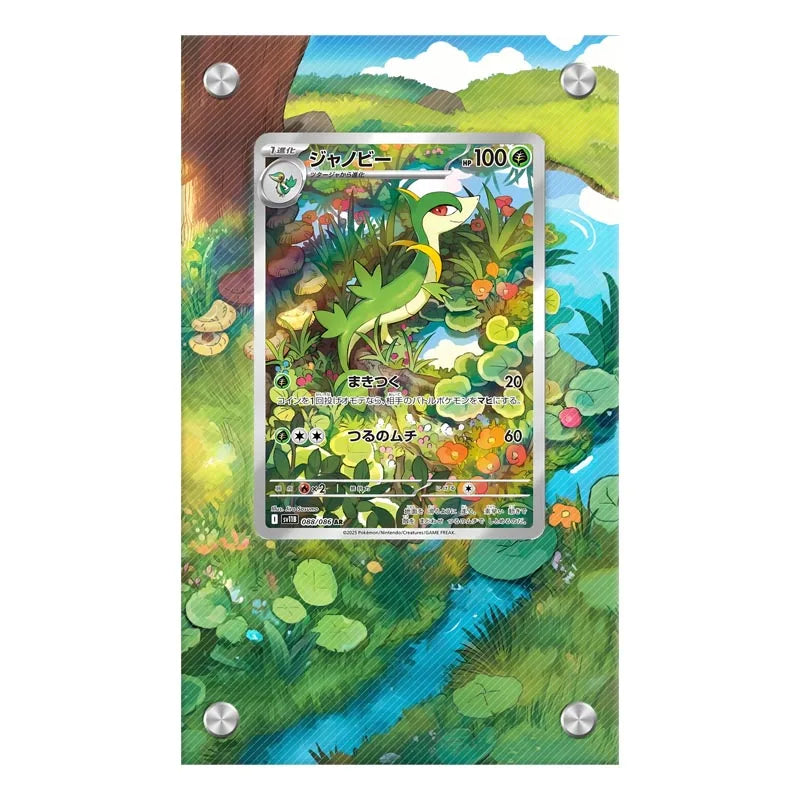 Estuche de exhibición de cartas acrílico Pokémon – Reshiram, Mewtwo, Zekrom, Charizard y soporte protector de cartas de personajes