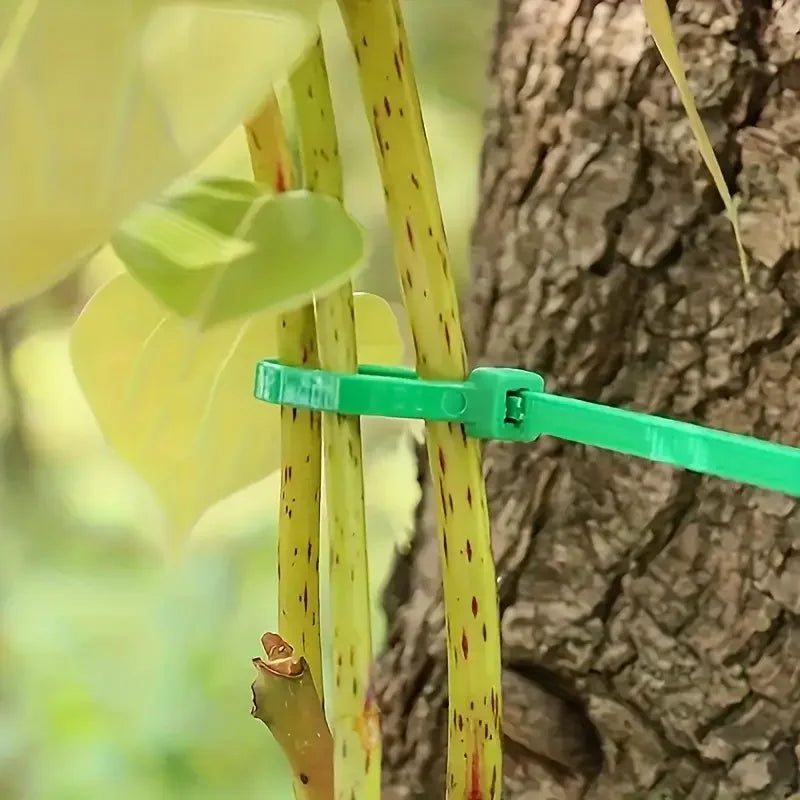 Reusable Garden Cable Ties – Adjustable Nylon Plant Support Straps for Vines, Trees, Shrubs, Gardening Fasteners, Cable Management & Outdoor Organization